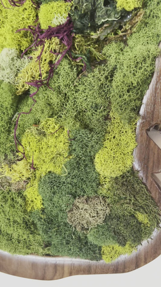 Lake Tahoe Moss Wall Art In Walnut Wood